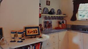 une cuisine avec un comptoir avec une photo sur une étagère dans l'établissement Poihipi Farm Stay, 