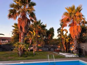 a group of palm trees next to a swimming pool at Etna Pool Villa Catania-Sea view in Mascalucia +54 photos