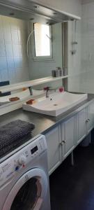 een badkamer met een wasmachine en een wastafel bij Le Petit Nid in Saint-Loubès