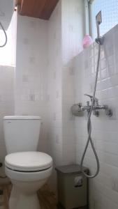 a bathroom with a toilet and a shower at Gold Dream Hotel in Da Lat