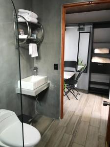 a bathroom with a sink and a mirror at Hospedaje Alto Lechuza Zarcero in Zarcero