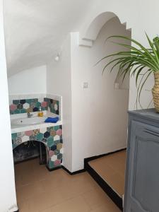 een badkamer met een wastafel en een potplant bij Dar Azam in Essaouira