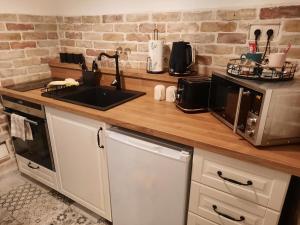 a kitchen counter with a sink and a microwave at Kúria Apartman Budapest with free parking in Budapest