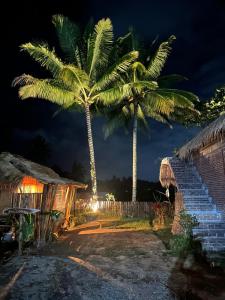 two palm trees in front of a house at night at Bunga Maliq Bungalow Lombok in Tetebatu