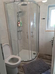 a bathroom with a shower and a toilet at Apartman Melita in Galižana