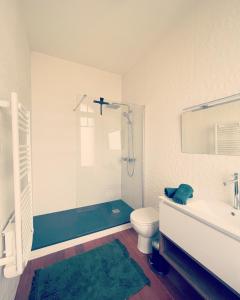 a bathroom with a shower and a toilet and a sink at Maison Mandarine in Bellerive-sur-Allier