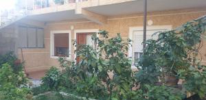 a building with a tree in front of it at Hills Villa in Vlorë