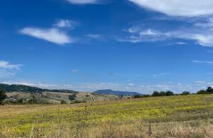 Φωτογραφία από το άλμπουμ του Bed and Breakfast Dimora Peluso σε Melito Irpino