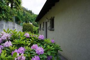Zahrada ubytování Casa Verbanella