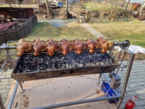 Satu MareにあるGyopár Vendégházの鶏肉・肉料理のグリル