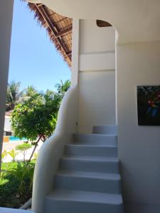 Fotografie z fotogalerie ubytování Parrots Boutique Resort v destinaci San Vicente