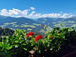 a view of the mountains with red flowers in the foreground at Appartement Oberschernthann in Hopfgarten im Brixental