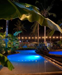 11th Earth Farm and Resort في Nabua: حمام سباحة في الليل مع أضواء