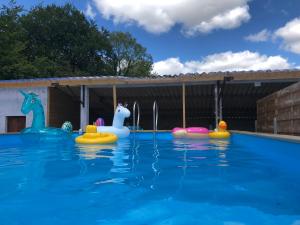 einen Pool mit aufblasbaren Tieren im Wasser in der Unterkunft gite des 3 pleureuses in Saint-Riquier