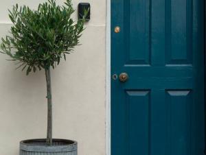 una planta en una olla al lado de una puerta azul en Studio at Church House, en Bideford