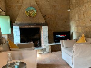 a living room with two couches and a fireplace at Civita Secret Lodge in Bagnoregio