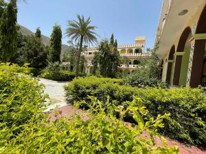 a building with a palm tree in the middle of a garden at Pushkar Heritage in Pushkar