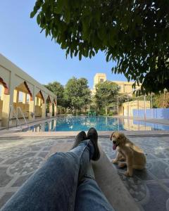 a person laying next to a dog next to a pool at Pushkar Heritage in Pushkar