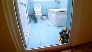 a bathroom with a toilet and a teddy bear on the floor at Old oak under the Mountain. in Gabala +49 photos