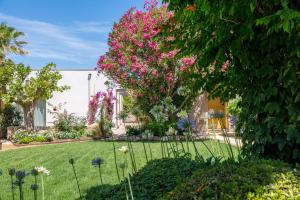 un jardín con flores rosas en un patio en Hôtel La Caravelle en Calvi