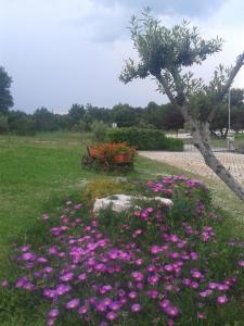 Gallery image of Guesthouse Villa Lena in Premantura +53 photos