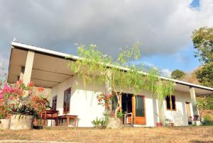 a white house with a tree in front of it at Ocean Surf Villa in Maluk