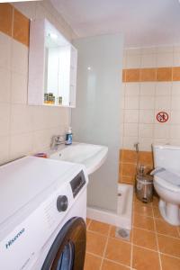 a washing machine in a bathroom with a sink and a toilet at Christina Apartments 2 in Drapaniás