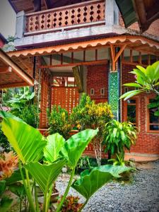 einen Garten vor einem Gebäude mit Pflanzen in der Unterkunft Eriono guest house Bukit lawang in Bukit Lawang