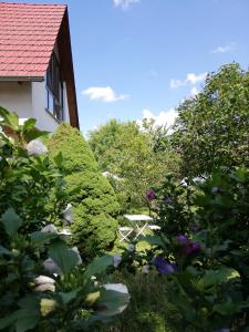 Afbeelding uit fotogalerij van Ferienwohnung an der Windmühle in Weimar