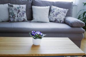 Posezení v ubytování Apartman Dada