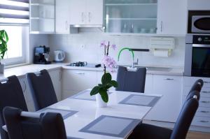 Kuchyň nebo kuchyňský kout v ubytování Apartman Dada