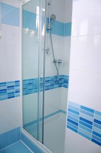 Koupelna v ubytování Apartman Dada