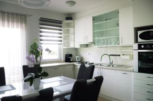 Kuchyň nebo kuchyňský kout v ubytování Apartman Dada