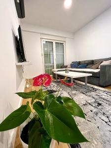 普里什蒂納的住宿－Erika's Place，带沙发和植物的客厅