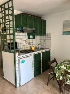 uma cozinha com armários verdes e um frigorífico branco em SerenElba em Marina di Campo