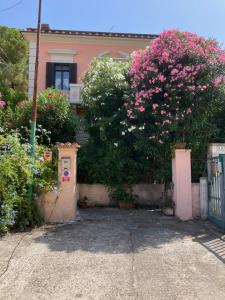 uma casa com flores cor-de-rosa em frente em SerenElba em Marina di Campo