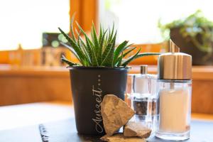 a black vase with a plant and a bottle of soap at Gästehaus Julia in Ischgl