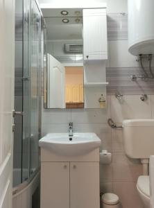 a bathroom with a sink and a toilet and a mirror at Apartmani Rudelj in Makarska