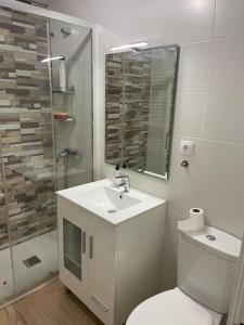 ein Bad mit einem WC, einem Waschbecken und einer Dusche in der Unterkunft Precioso duplex en Oviedo WIFI in Oviedo