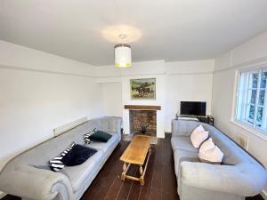 a living room with two couches and a fireplace at Down Ampney cottage in Down Ampney