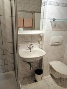 a bathroom with a sink and a toilet at Appartement Gredler Martina in Mayrhofen