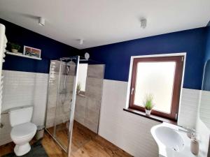a bathroom with a toilet and a shower and a sink at Twin Cabins / Cabanele Gemene in Suceava +51 photos