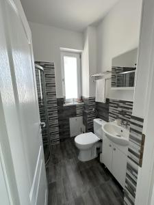 ein weißes Bad mit einem WC und einem Waschbecken in der Unterkunft elisio - Maple House in Ghimbav