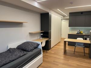 a bedroom with a bed and a desk and a kitchen at Wohnung in Vilshofen in Vilshofen an der Donau