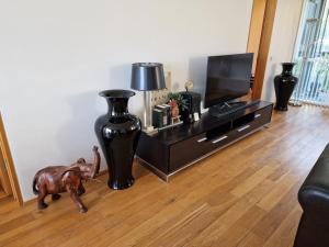 una sala de estar con TV y una estatua de un perro en Alfred's Premium Vatnsstígur, en Reikiavik
