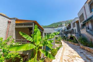 un bananier au milieu d'une rue dans l'établissement Luxury Villa 4, à Vlorë
