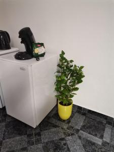 a plant sitting on top of a white refrigerator at Lucija in Gospić