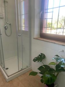a bathroom with a shower and a potted plant at Casa laggiù in Gradoli