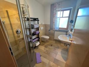 a bathroom with a shower and a sink and a toilet at Gschwendnerhof Reitberger-Brandl in Röhrnbach