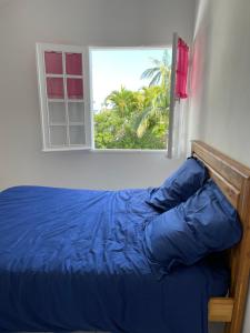 Cama en habitación con ventana en ti sable appartement à 5 minutes de la mer en Saint-Joseph